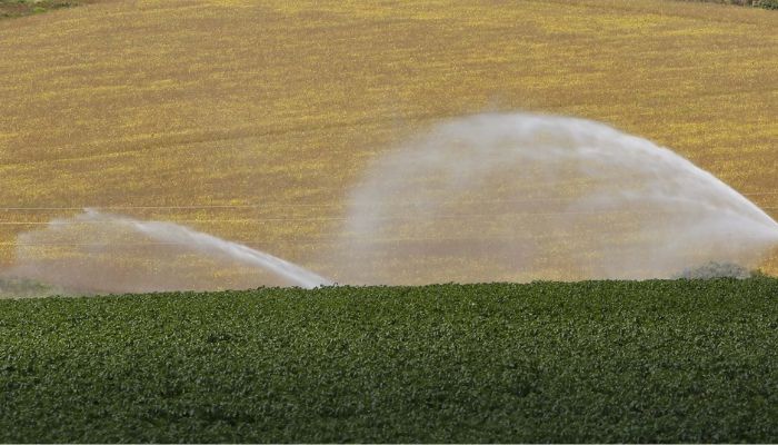 ICMS zero: Paraná prorroga isenção para produtos agropecuários até 2026